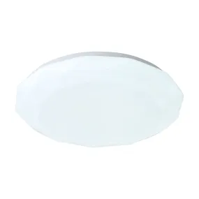 1-Light Acrylic Minimalist LED Flush Mount Lighting