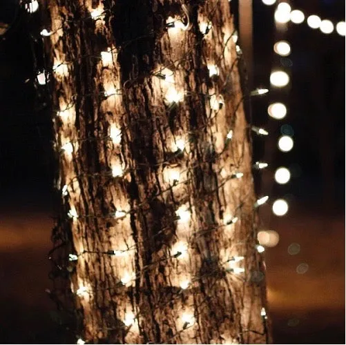 150-bulb Clear (White) Tree Trunk Lights, Green Wire