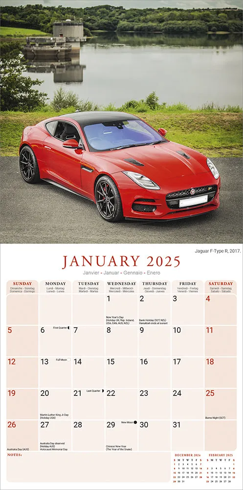 2025 Jaguar Wall Calendar