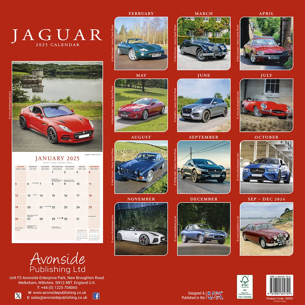 2025 Jaguar Wall Calendar