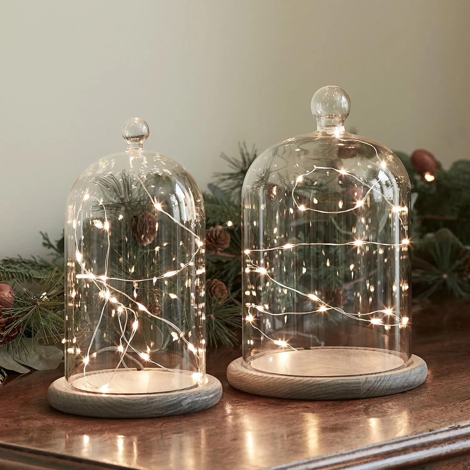 20.5 & 23cm Glass Dome Bell Jar Micro Fairy Light Bundle