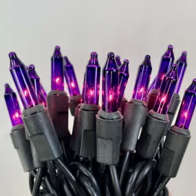 50-bulb Purple Mini Lights, 4" Spacing, Black Wire