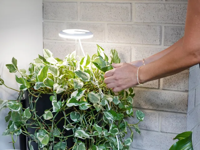 Adjustable Smart LED Grow Light Ring