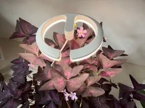 Adjustable Smart LED Grow Light Ring