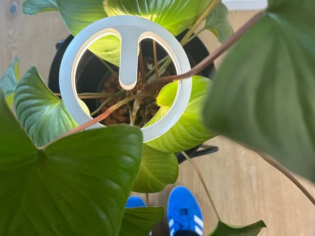 Adjustable Smart LED Grow Light Ring