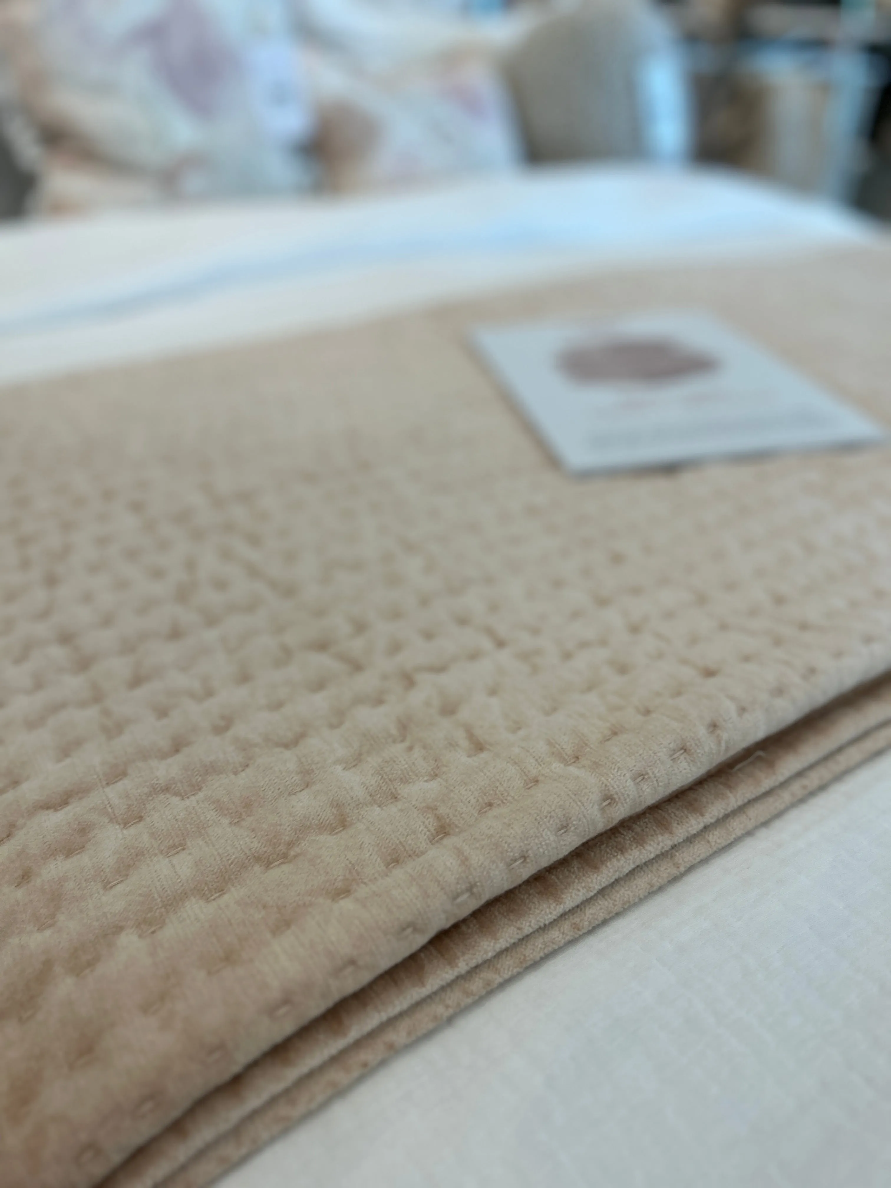 Bari Velvet Bliss Nude Quilt