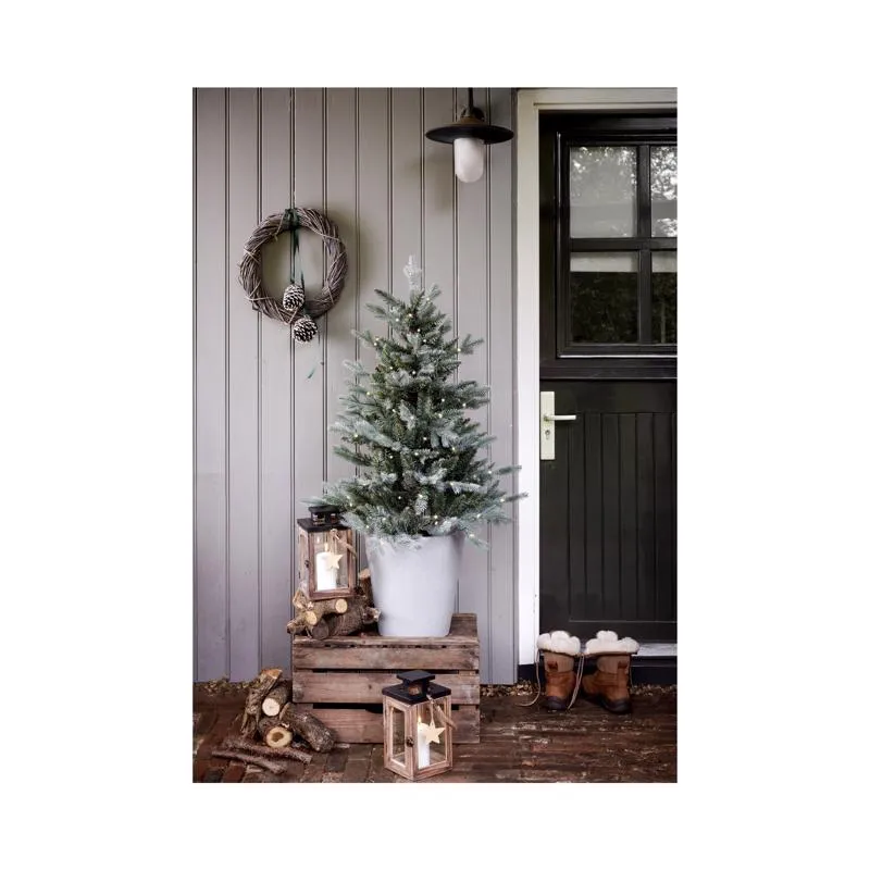 Celebrations 4 ft. Full LED 80 ct Misty Allison Pine Christmas Tree