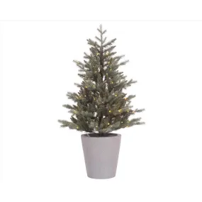 Celebrations 4 ft. Full LED 80 ct Misty Allison Pine Christmas Tree