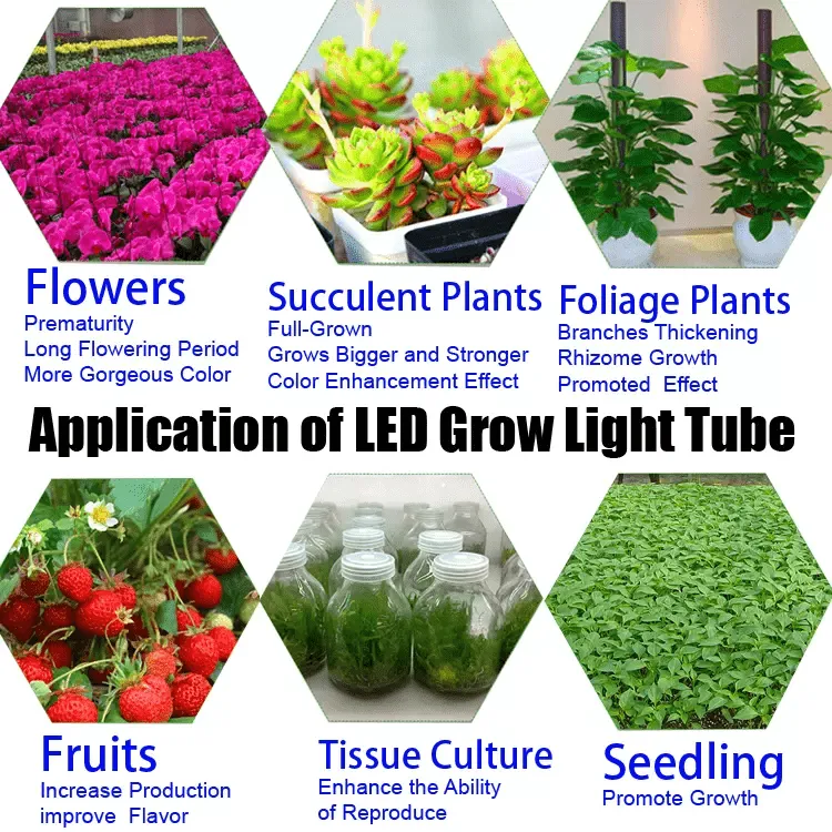 LINKABLE Full Spectrum LED Grow Light 4ft 36w