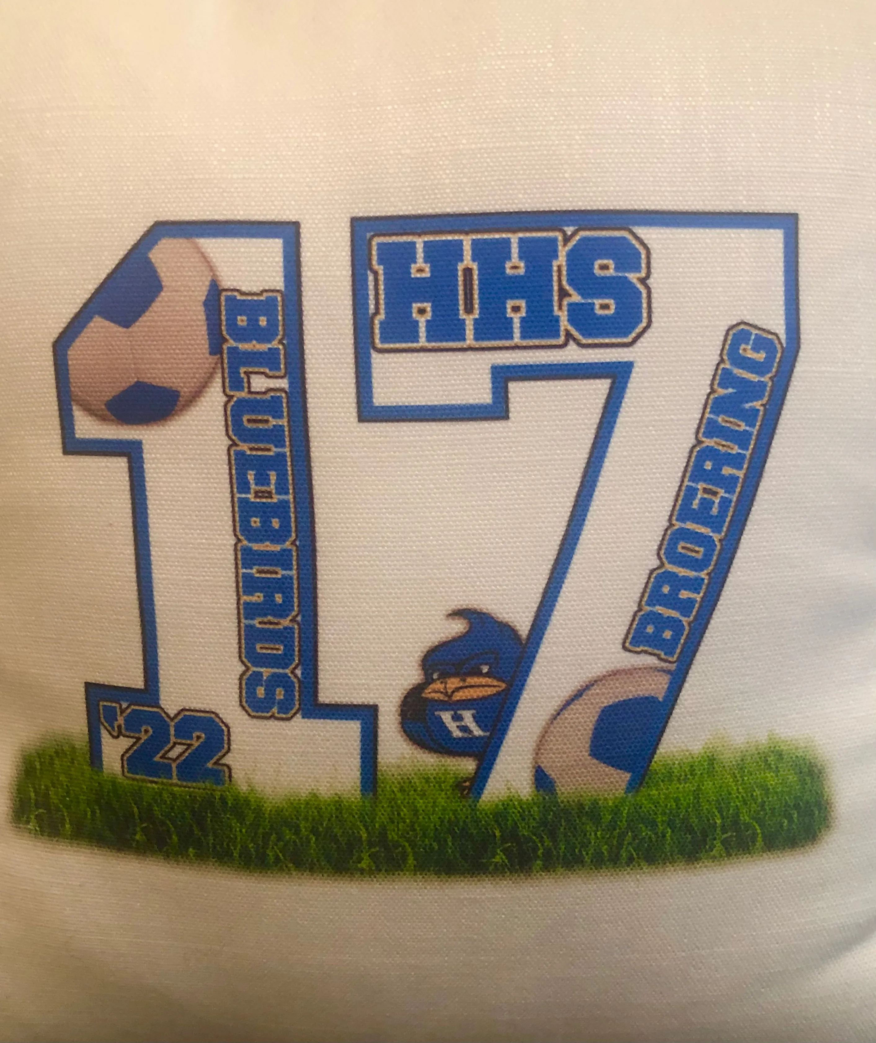 Personalized Senior/Team Pillow