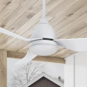 Silas 44 inch Modern Smart Ceiling Fan with Light and Remote