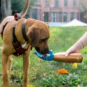 S'well Travel Dog Bowl