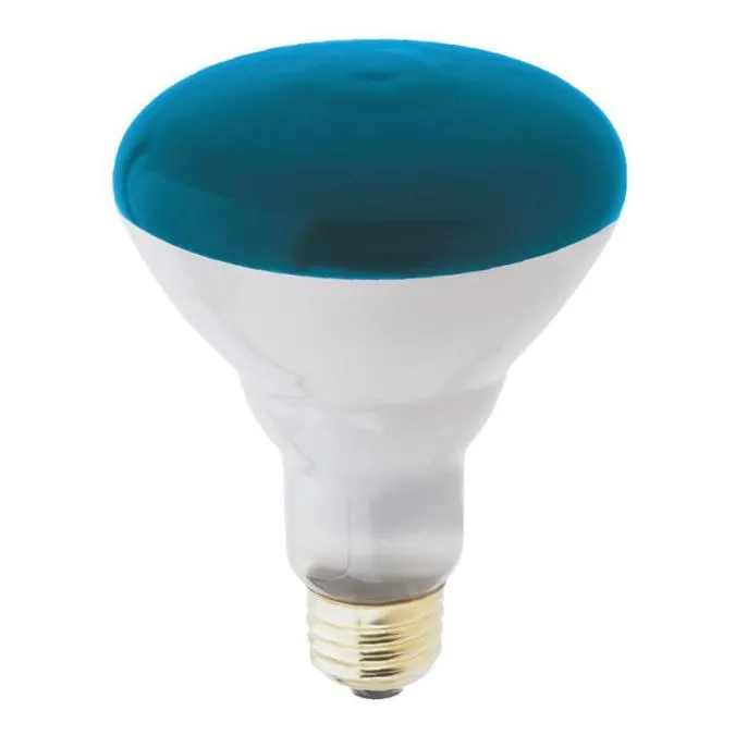 Westinghouse 0466800 75 Watt Incandescent BR30 Reflector Flood - Blue - E26-Medium Base - 130 Volt - Box