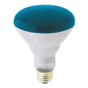 Westinghouse 0466800 75 Watt Incandescent BR30 Reflector Flood - Blue - E26-Medium Base - 130 Volt - Box